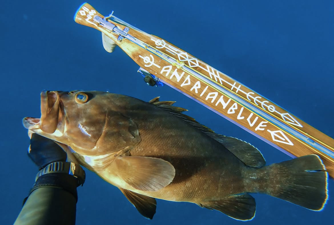 Andrian Blue Spearguns