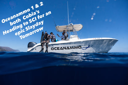 Spearfishing Trips