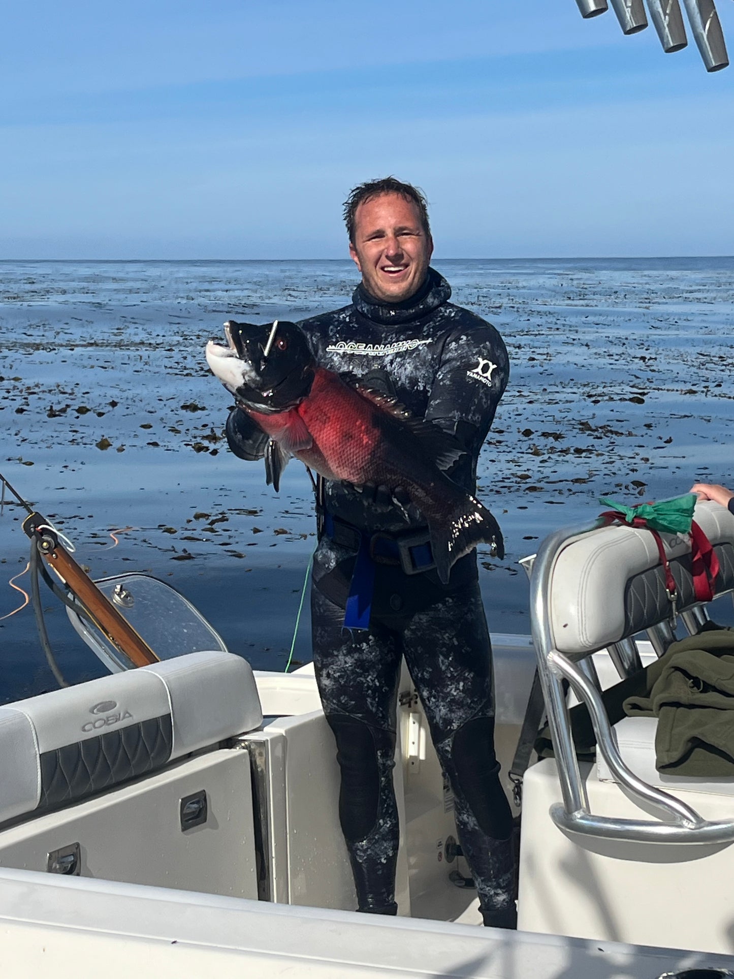 Spearfishing Trips