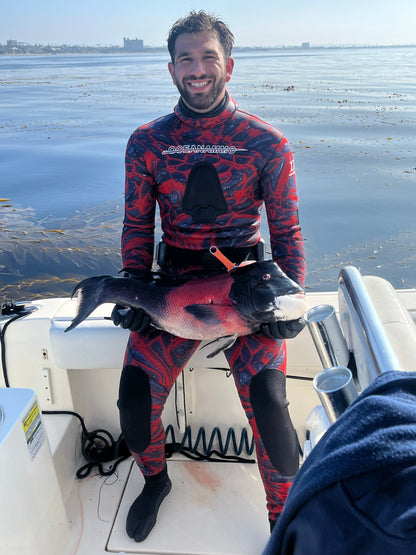 Spearfishing Trips