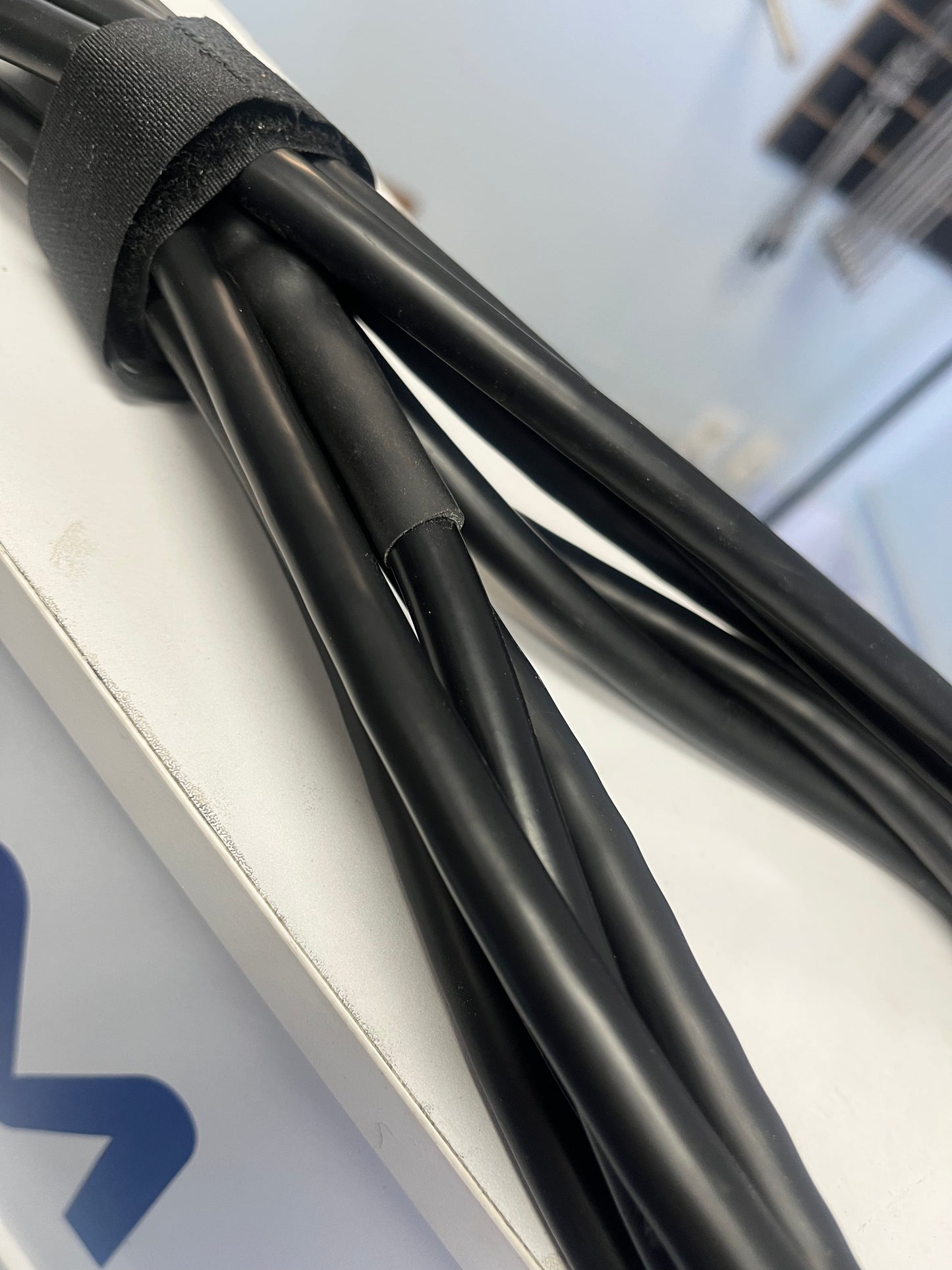 Tuna Bungee 10mm